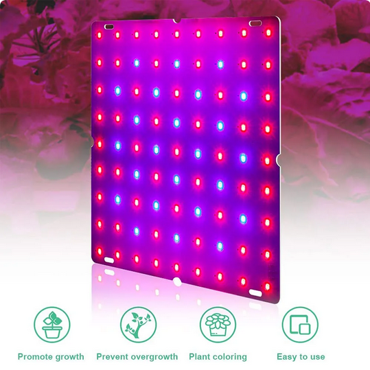 FULL SPECTRUM LED GROW LIGHT 2000W | HYDROPONIC GROWING LAMP ULTRATHIN PANEL PHYTOLAMP