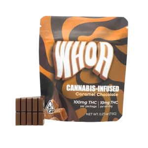 WHOA | CARAMEL CHOCOLATE BITE (100MG)