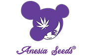 FROZEN FACE AUTO | BY ANESIA SEEDS (5 PACK)